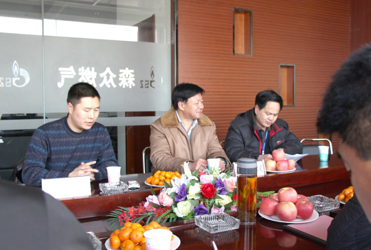 林口县政府与石家庄赵彬环保科技有限公司燃气项目洽谈.png